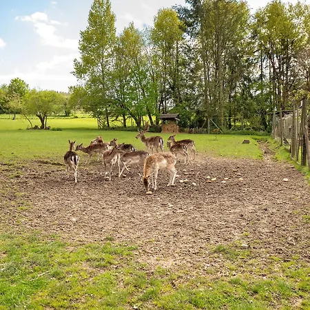 Gaestehaus Muehlenhof - Mueller-thurgau Maring-Noviand