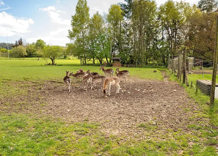 Gaestehaus Muehlenhof - Mueller-thurgau Maring-Noviand