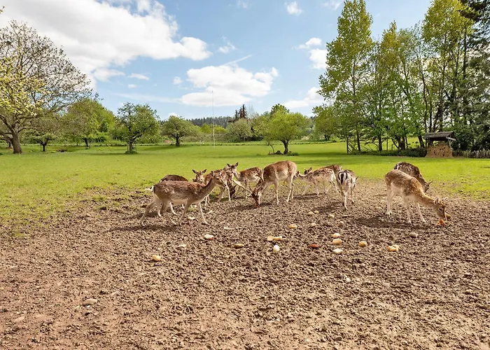 Gaestehaus Muehlenhof - Mueller-thurgau Maring-Noviand