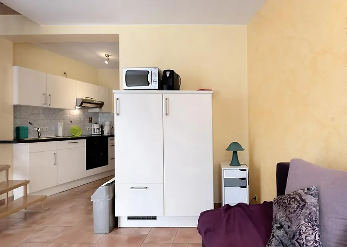 Appartement Gaestehaus Muehlenhof - Mueller-thurgau *